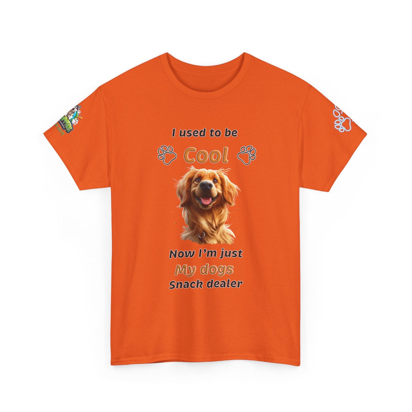 I Used to Be Cool, Now I'm My Dog's Snack Dealer Tee — Golden Retriever Shirt